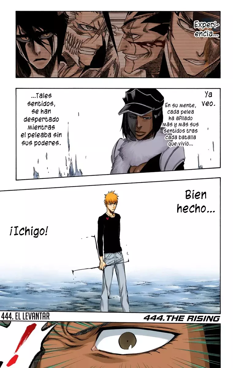 Read Bleach Full Color ES Manga Online