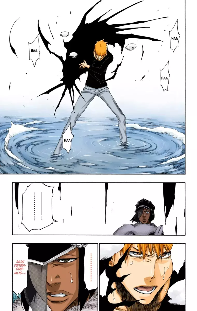 Read Bleach Full Color ES Manga Online