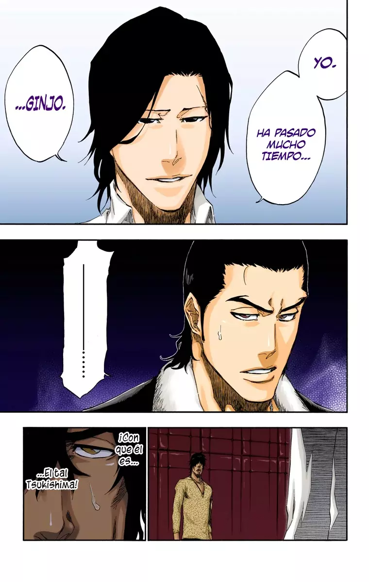 Read Bleach Full Color ES Manga Online