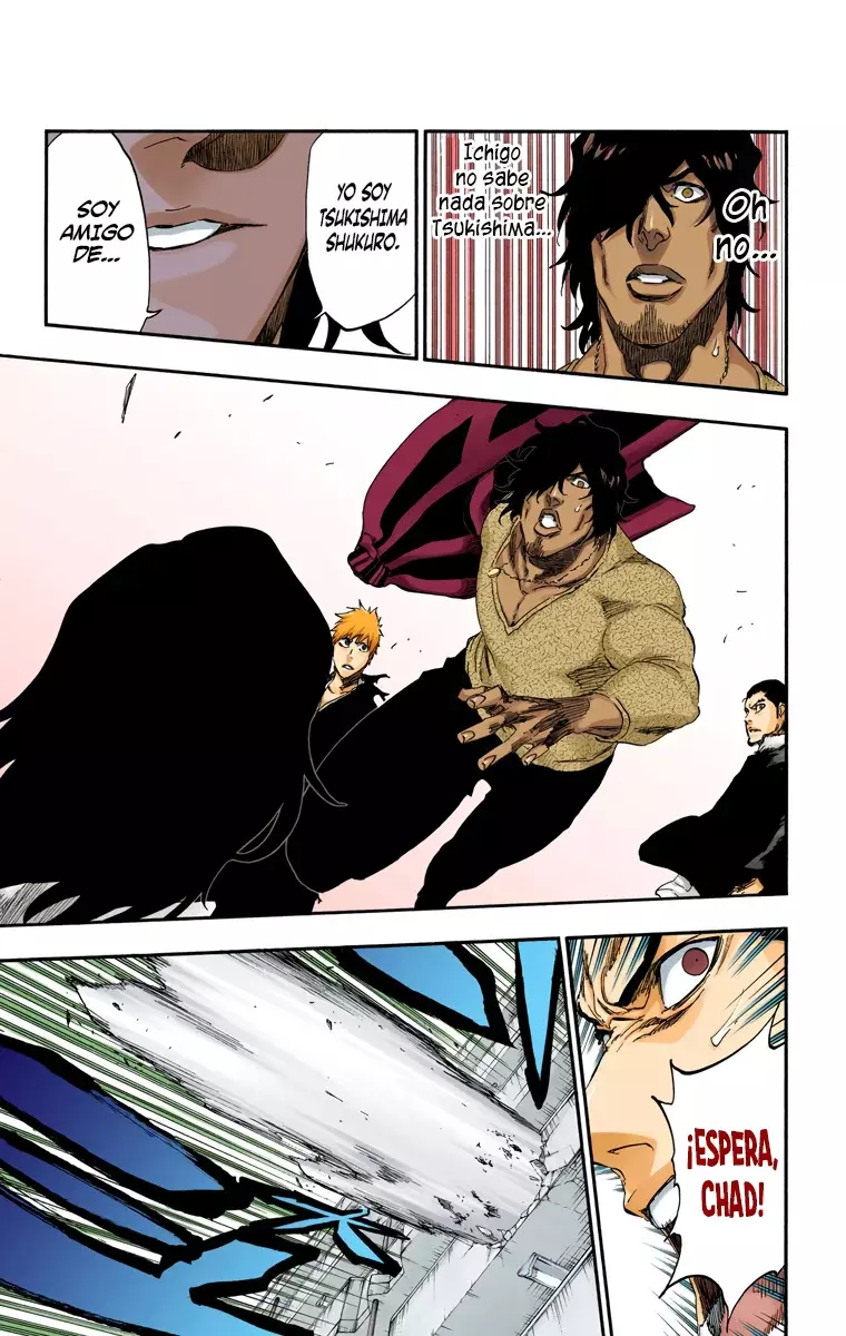 Read Bleach Full Color ES Manga Online