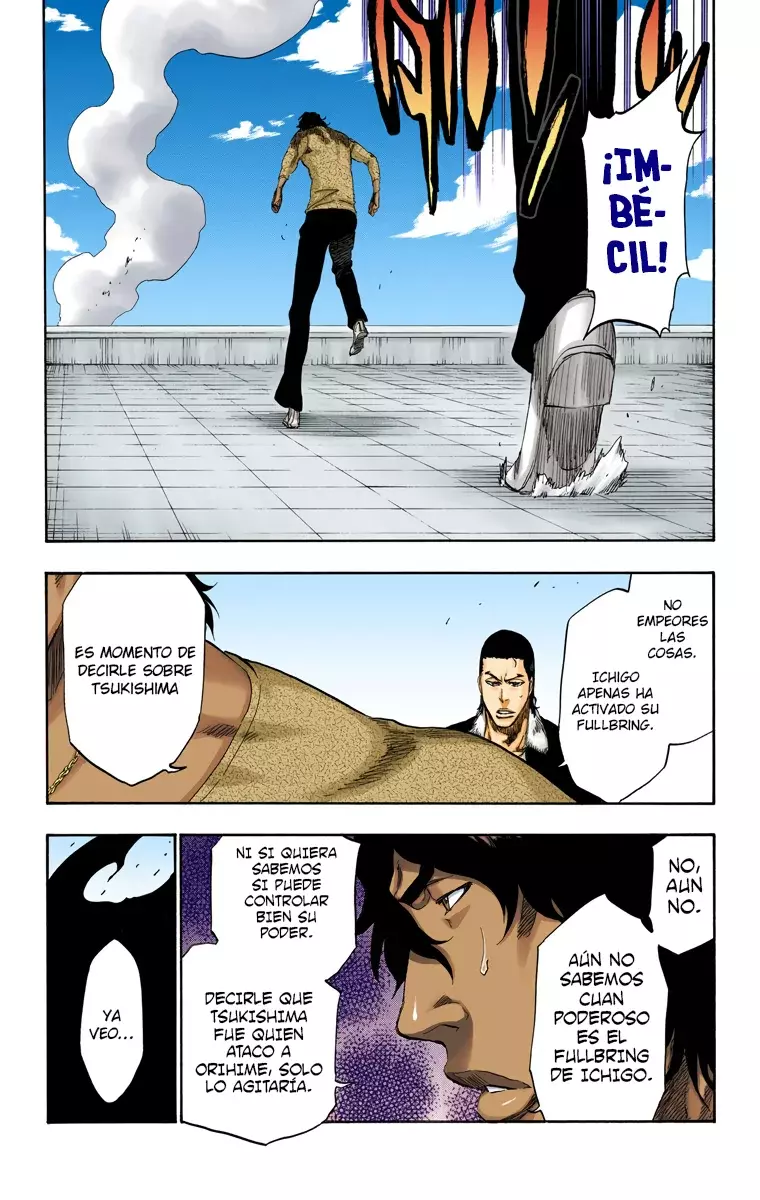 Read Bleach Full Color ES Manga Online
