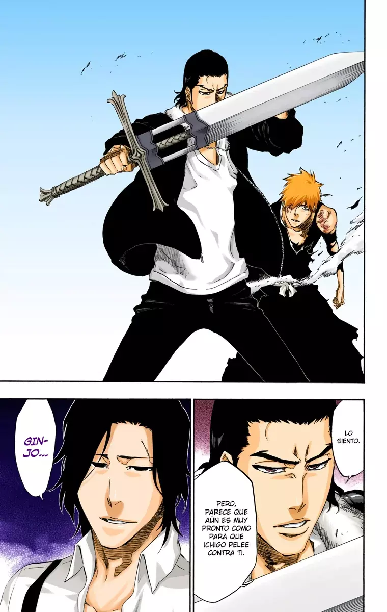 Read Bleach Full Color ES Manga Online