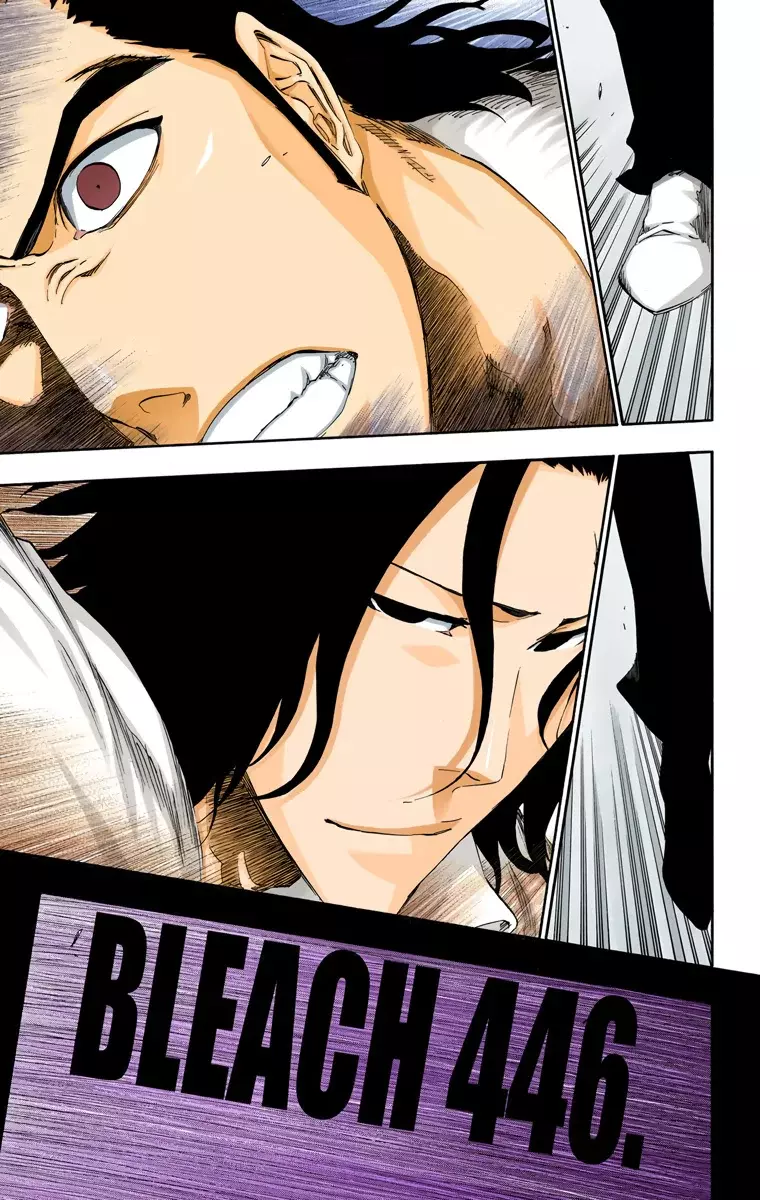 Read Bleach Full Color ES Manga Online