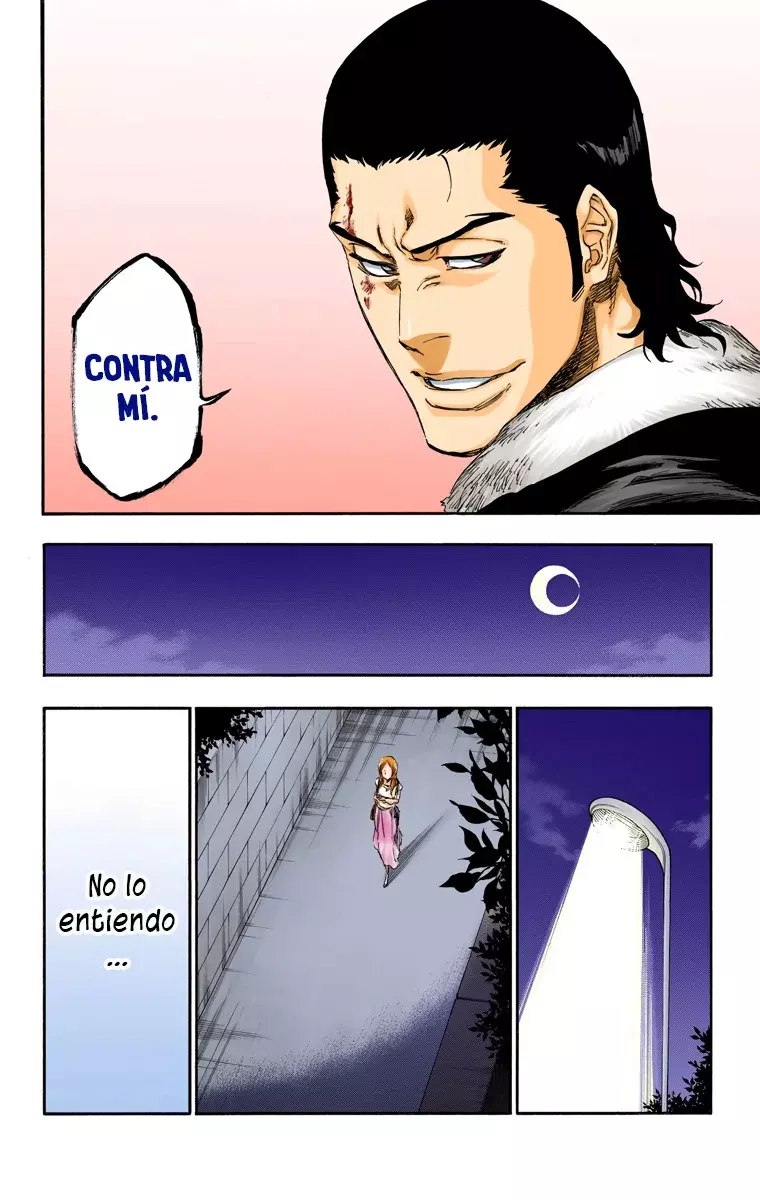 Read Bleach Full Color ES Manga Online