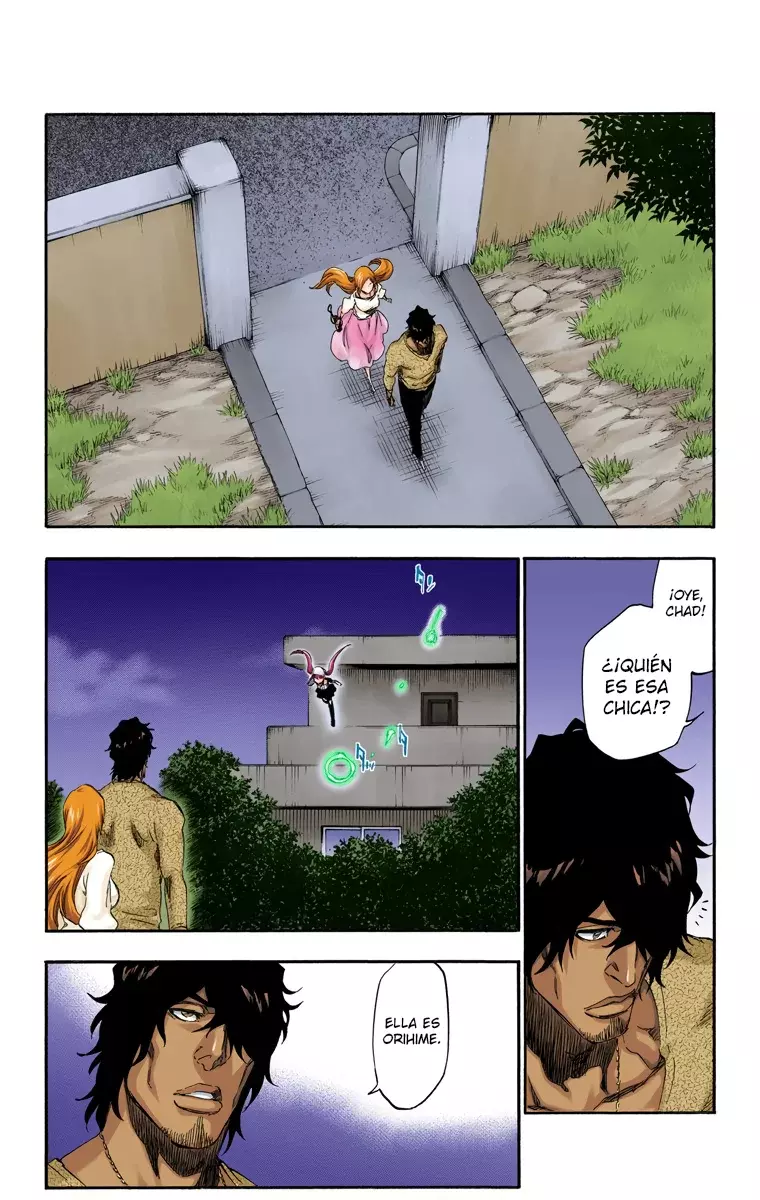 Read Bleach Full Color ES Manga Online