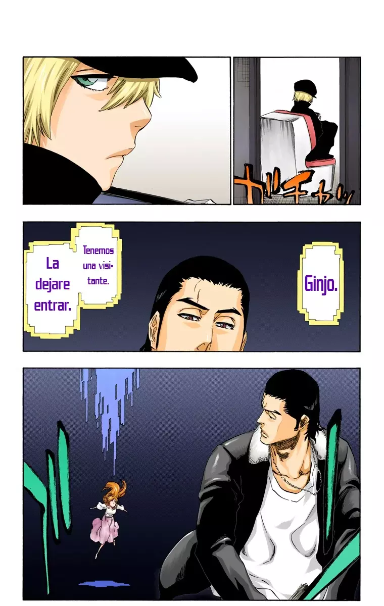 Read Bleach Full Color ES Manga Online