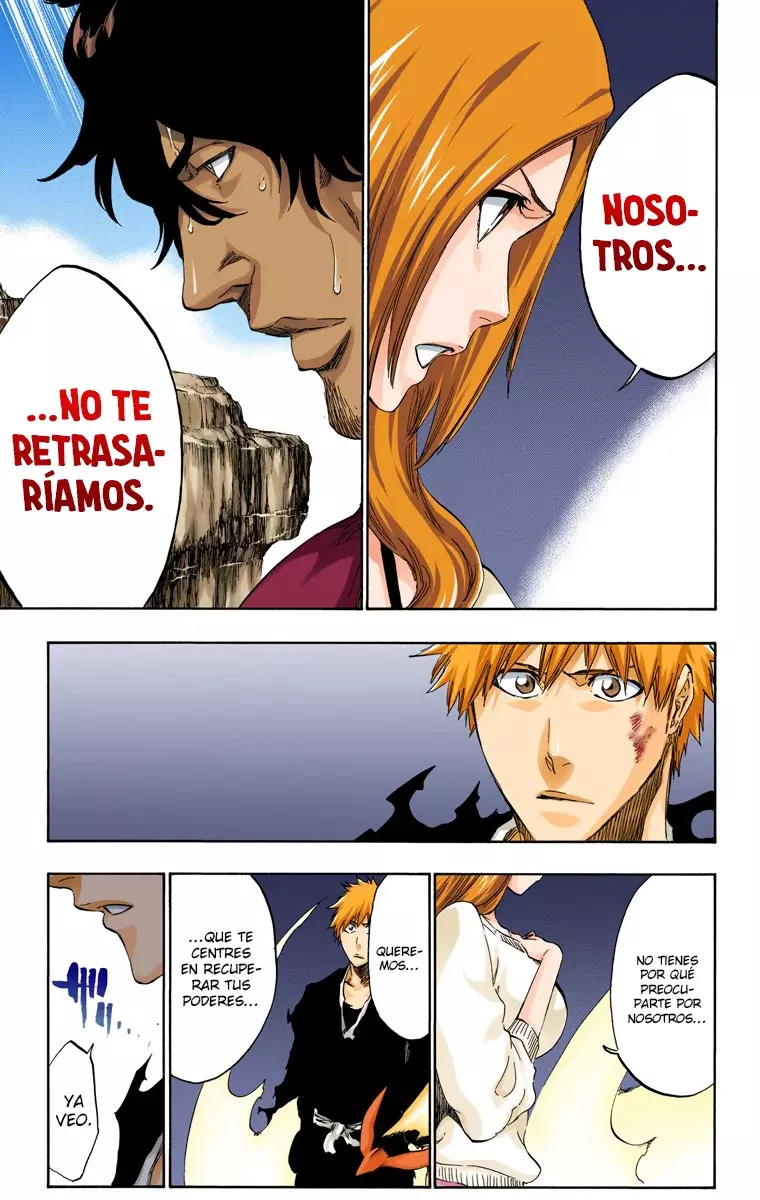 Read Bleach Full Color ES Manga Online
