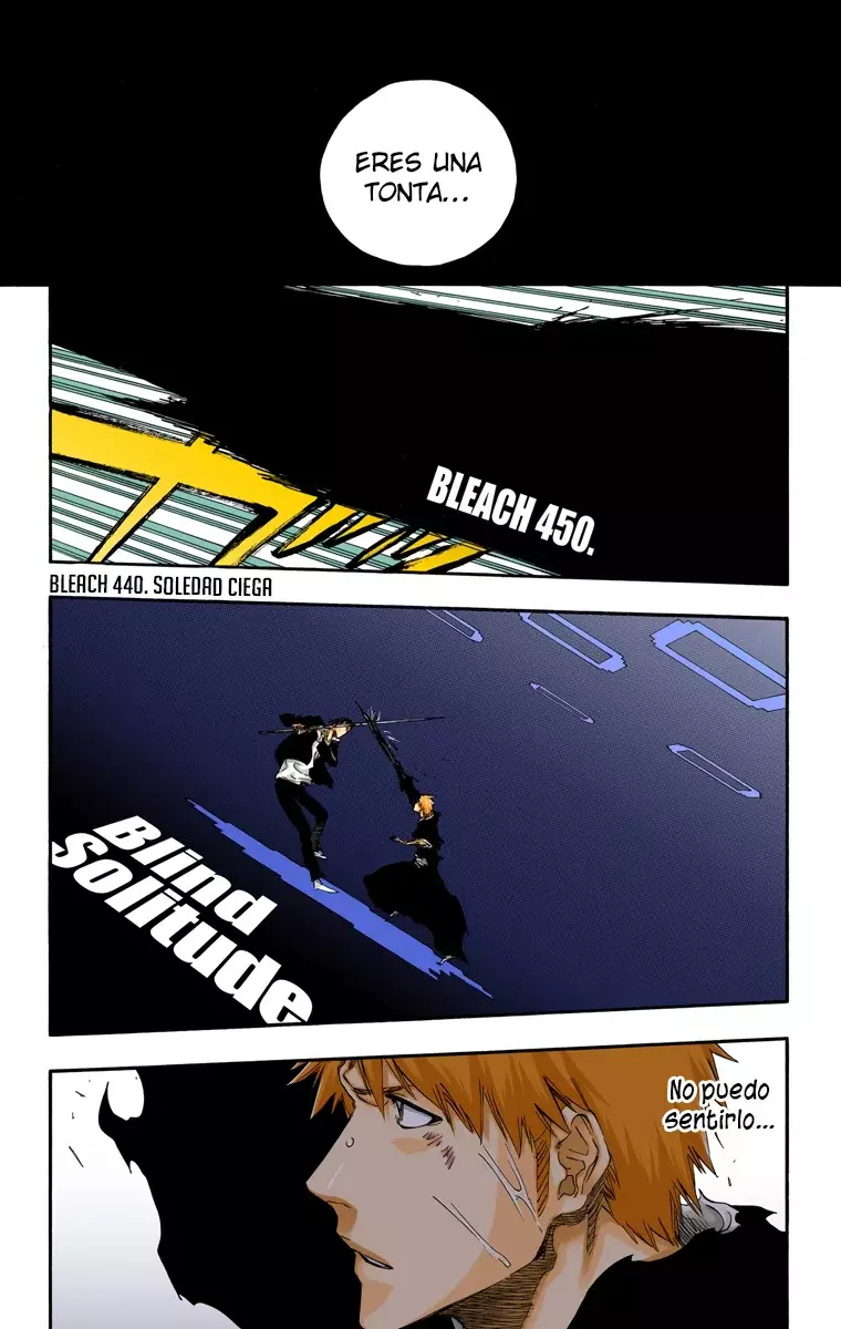Read Bleach Full Color ES Manga Online