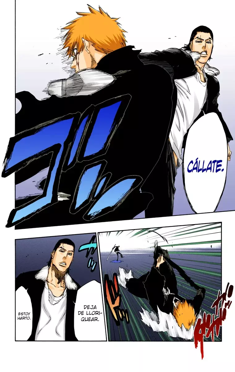 Read Bleach Full Color ES Manga Online
