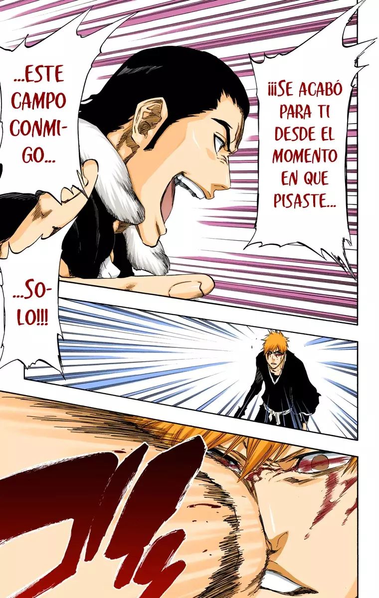 Read Bleach Full Color ES Manga Online