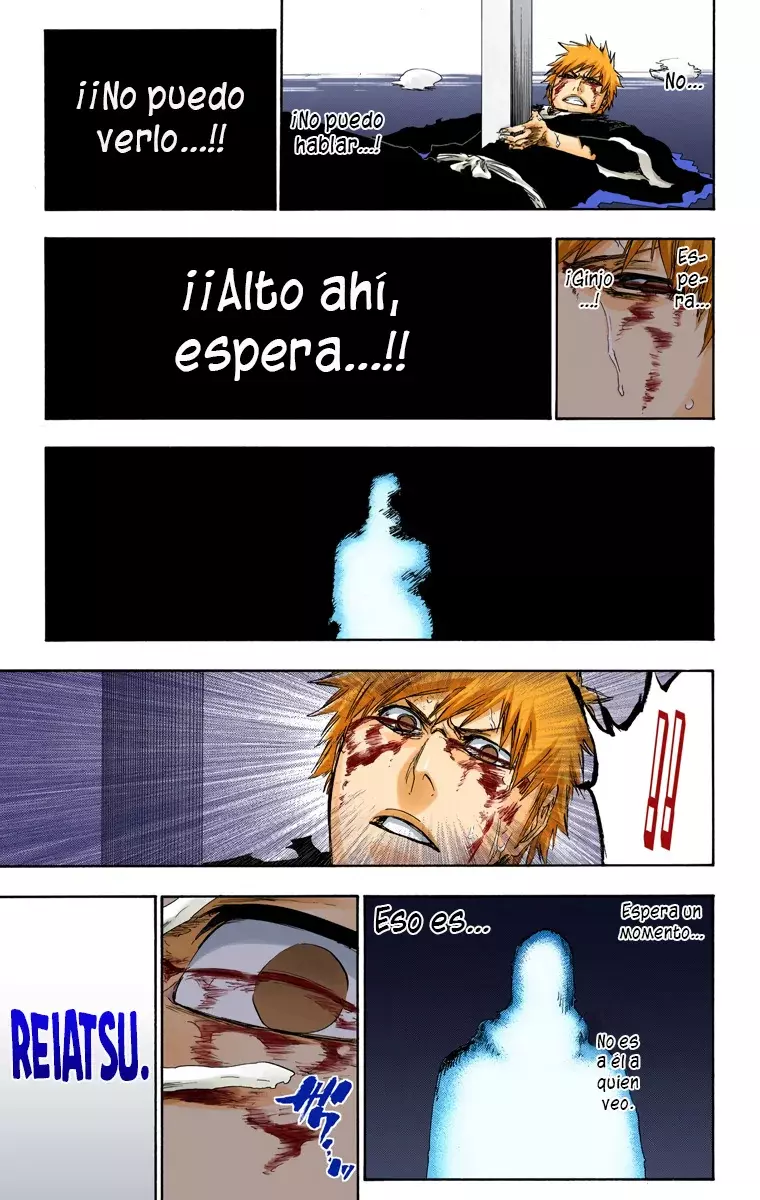 Read Bleach Full Color ES Manga Online