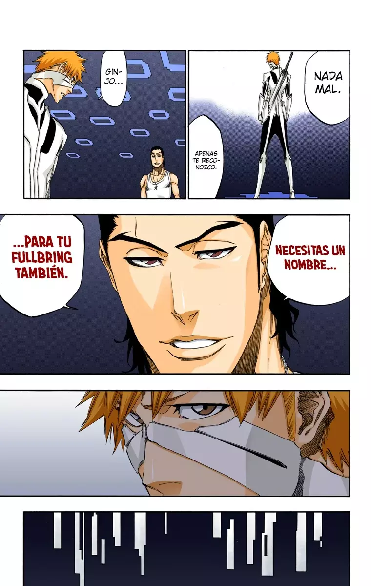 Read Bleach Full Color ES Manga Online