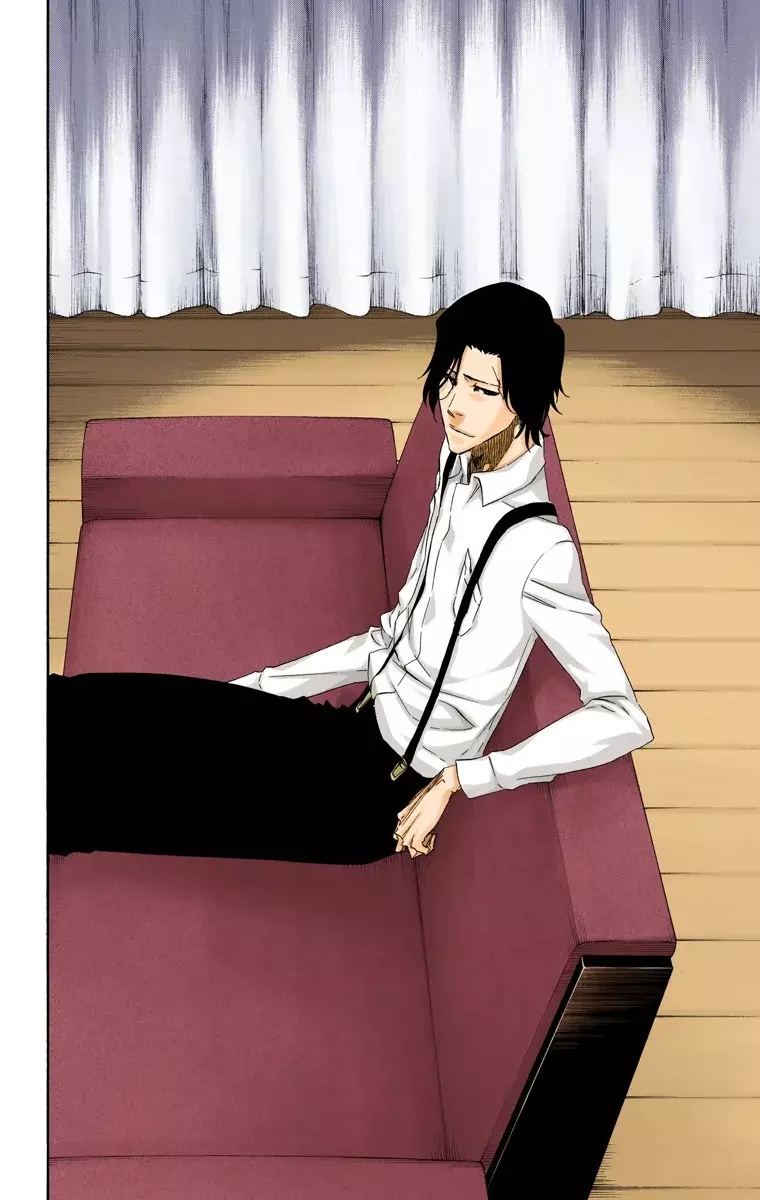 Read Bleach Full Color ES Manga Online