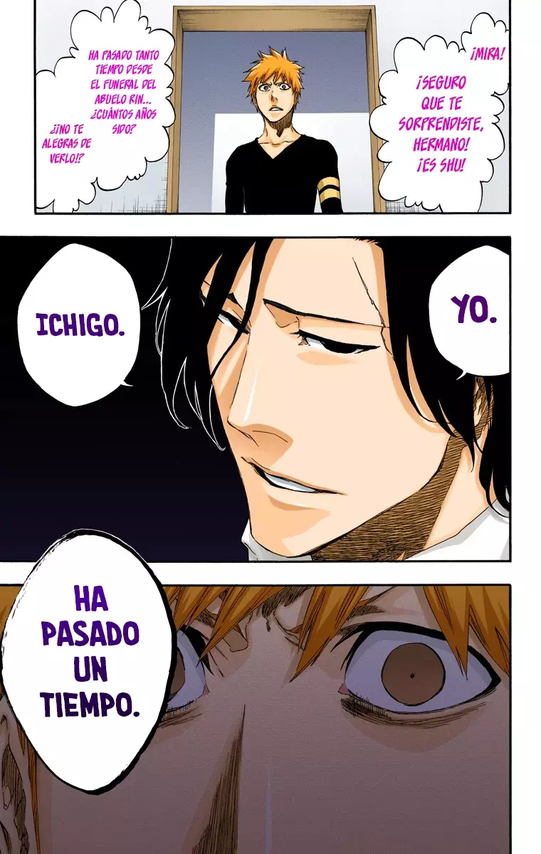 Read Bleach Full Color ES Manga Online