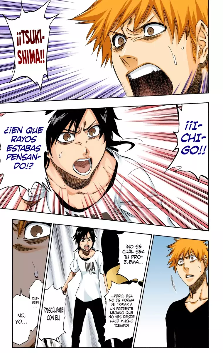 Read Bleach Full Color ES Manga Online