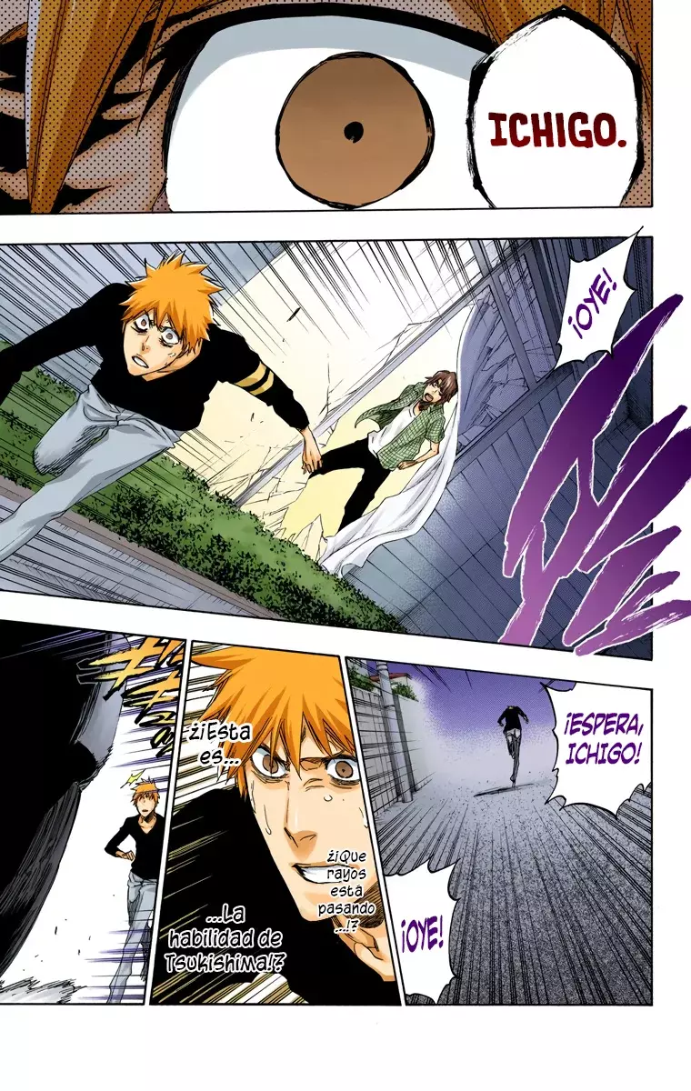 Read Bleach Full Color ES Manga Online