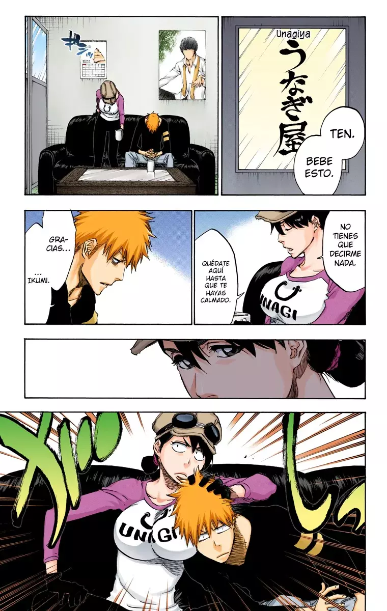 Read Bleach Full Color ES Manga Online