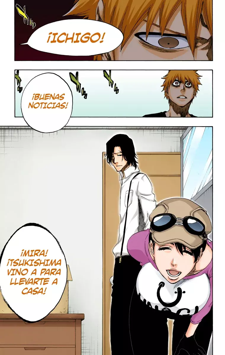 Read Bleach Full Color ES Manga Online