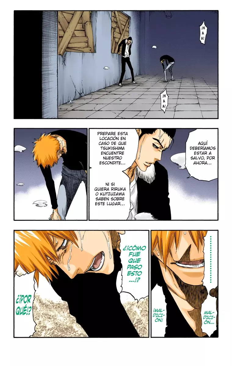 Read Bleach Full Color ES Manga Online