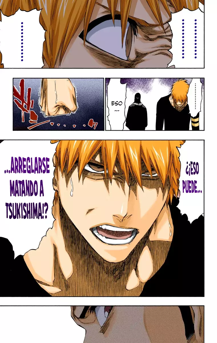 Read Bleach Full Color ES Manga Online