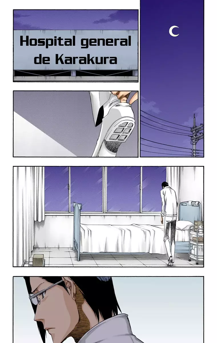 Read Bleach Full Color ES Manga Online
