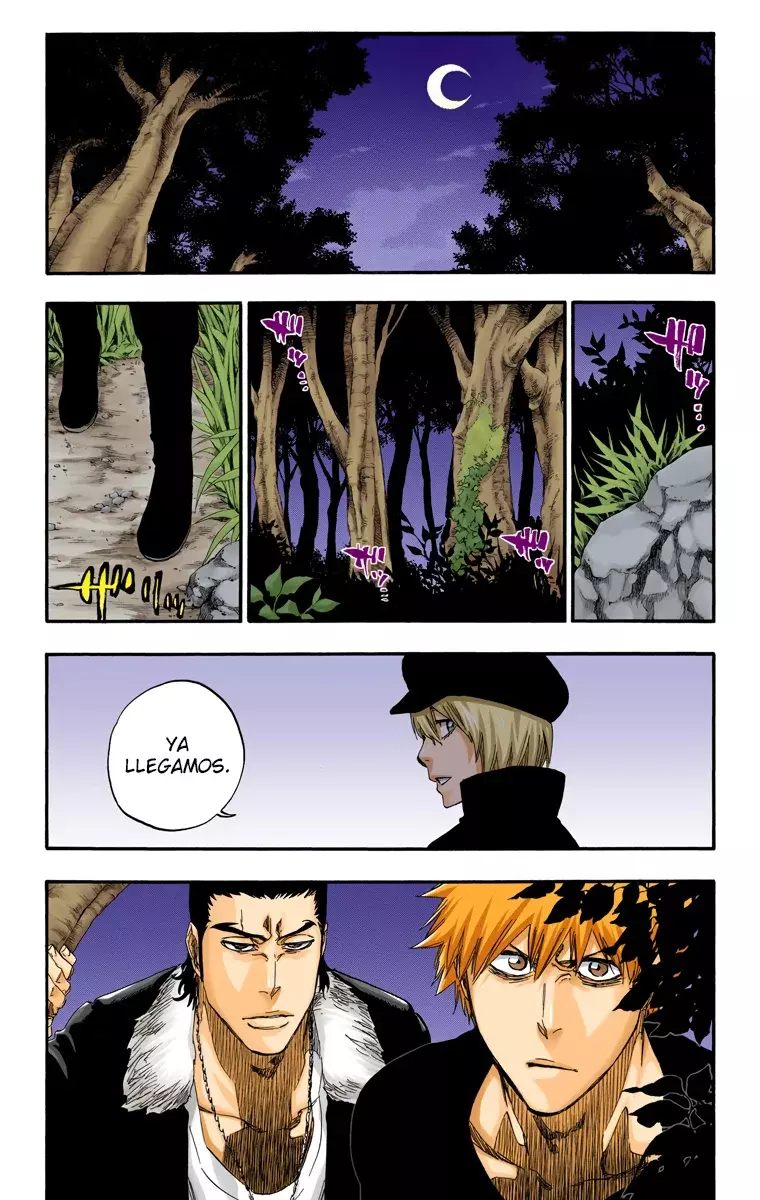 Read Bleach Full Color ES Manga Online
