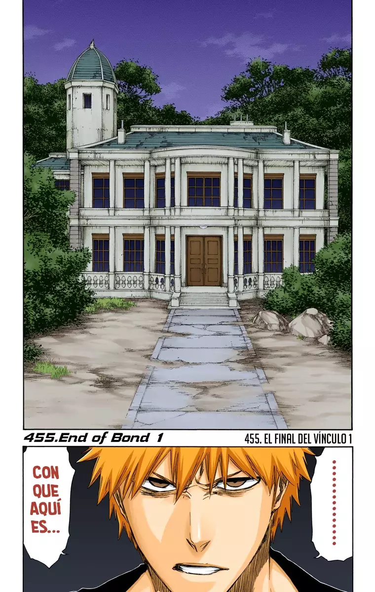 Read Bleach Full Color ES Manga Online