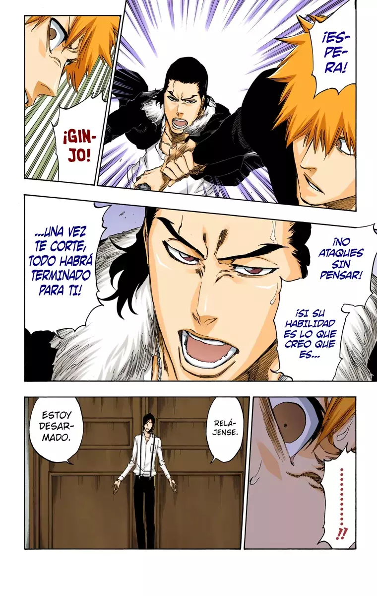 Read Bleach Full Color ES Manga Online