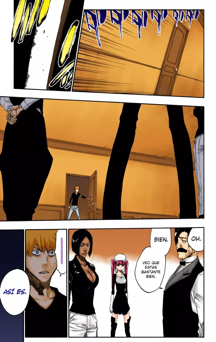 Read Bleach Full Color ES Manga Online