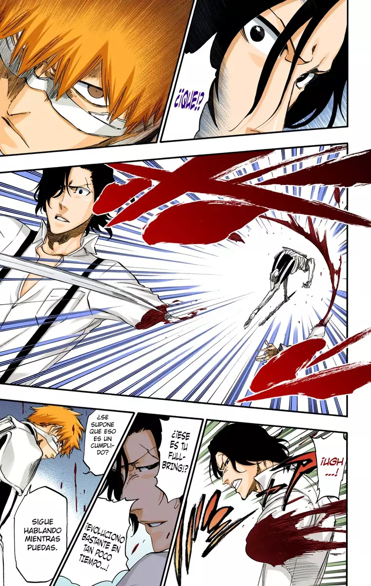 Read Bleach Full Color ES Manga Online