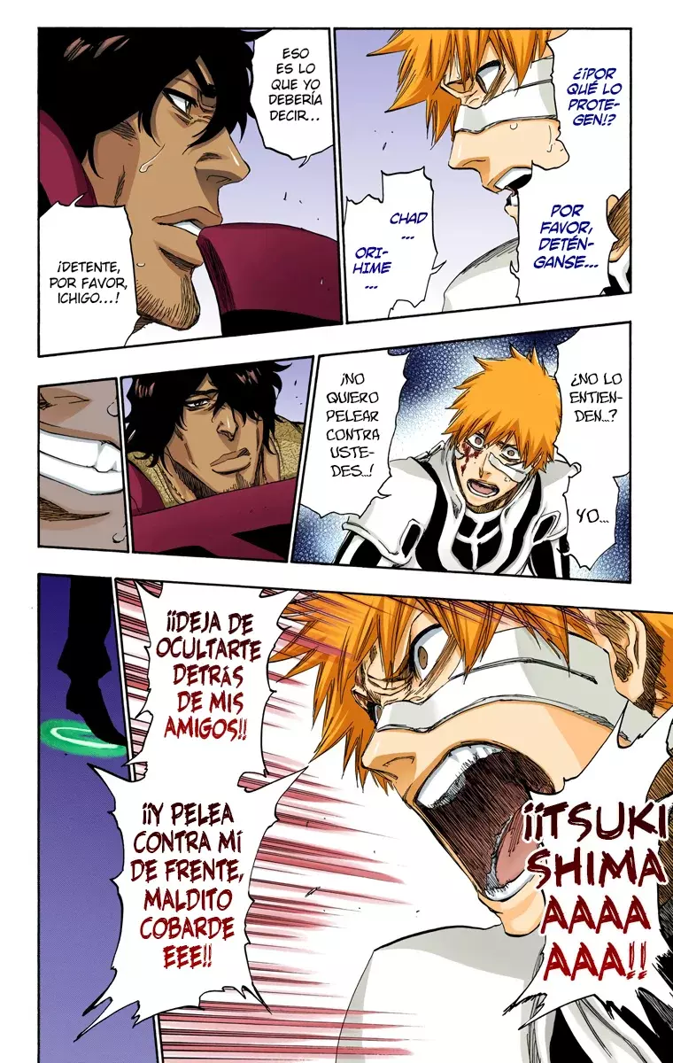 Read Bleach Full Color ES Manga Online