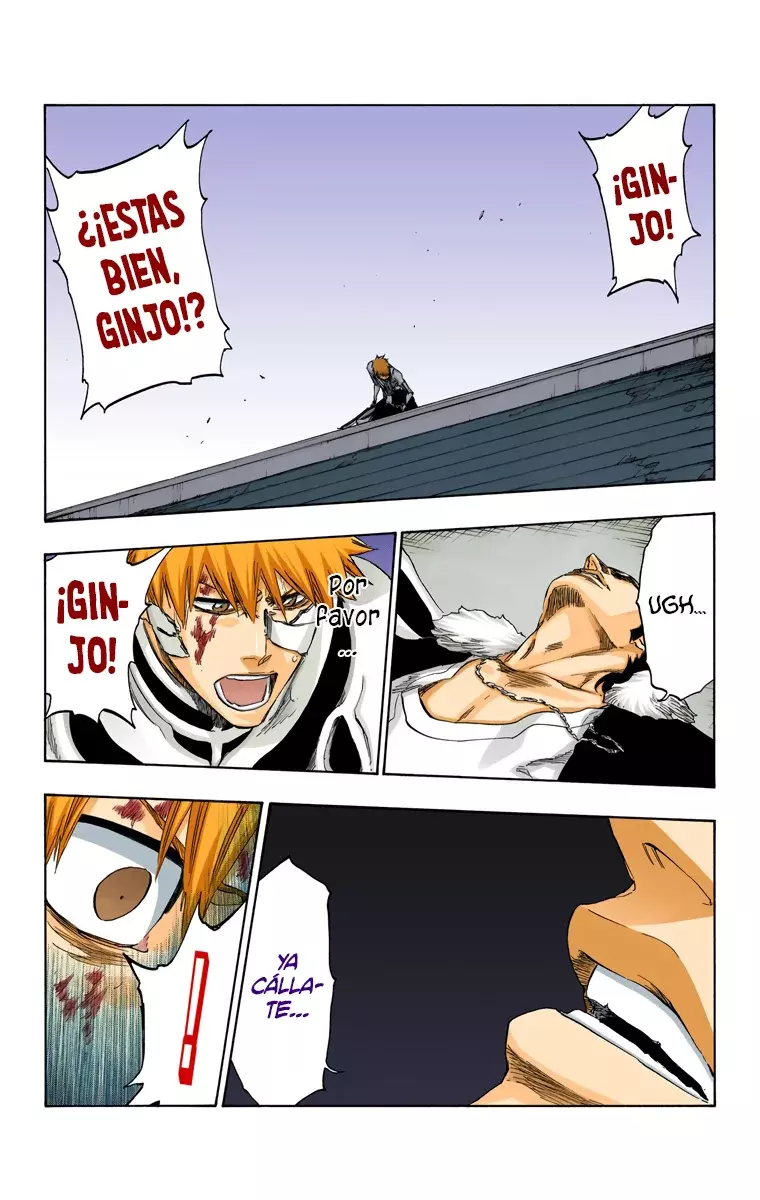 Read Bleach Full Color ES Manga Online