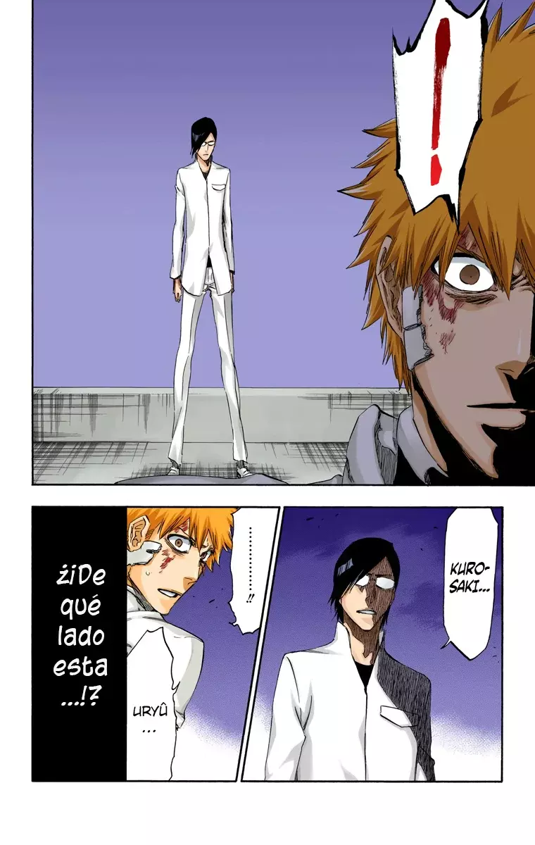 Read Bleach Full Color ES Manga Online