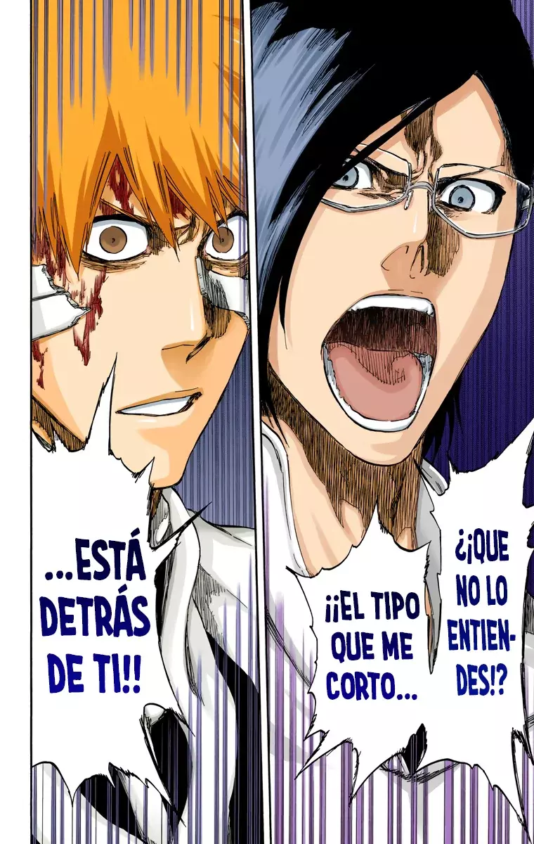 Read Bleach Full Color ES Manga Online
