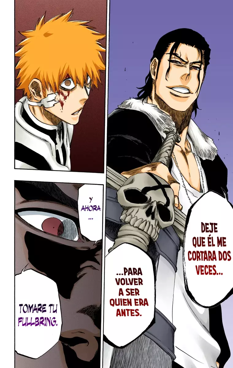 Read Bleach Full Color ES Manga Online
