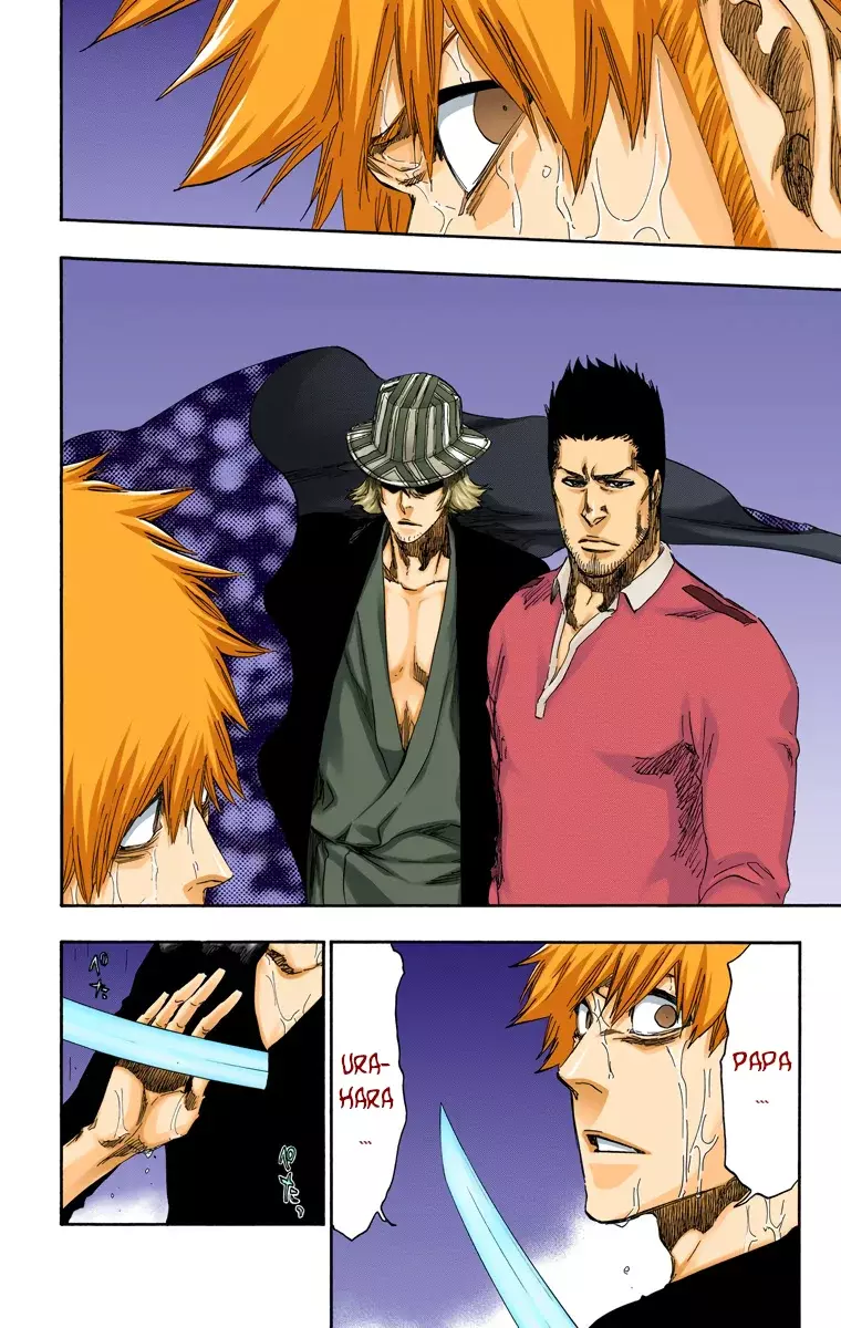Read Bleach Full Color ES Manga Online