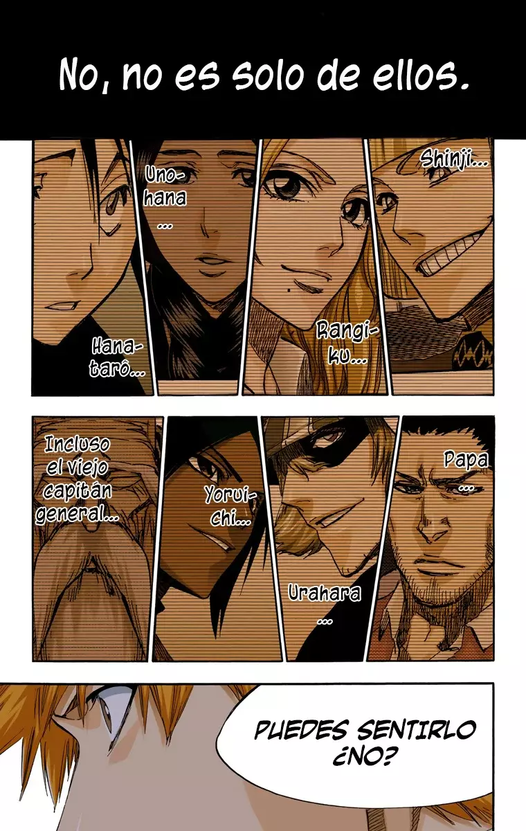 Read Bleach Full Color ES Manga Online