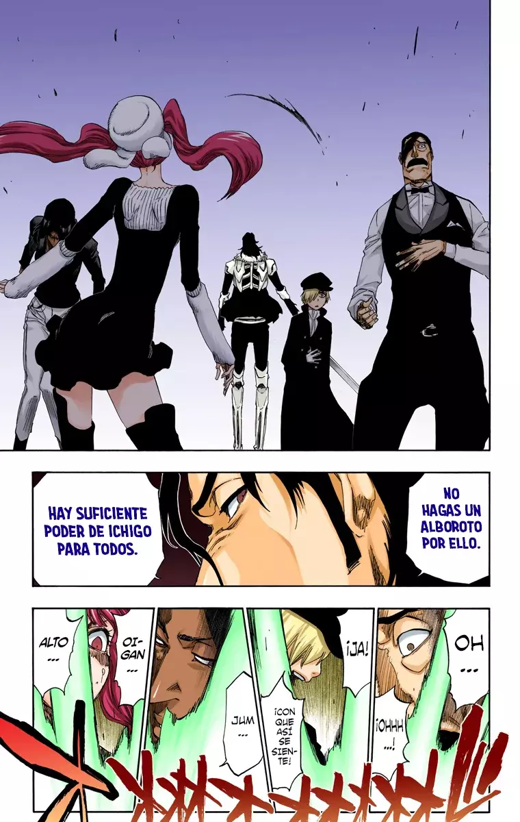 Read Bleach Full Color ES Manga Online