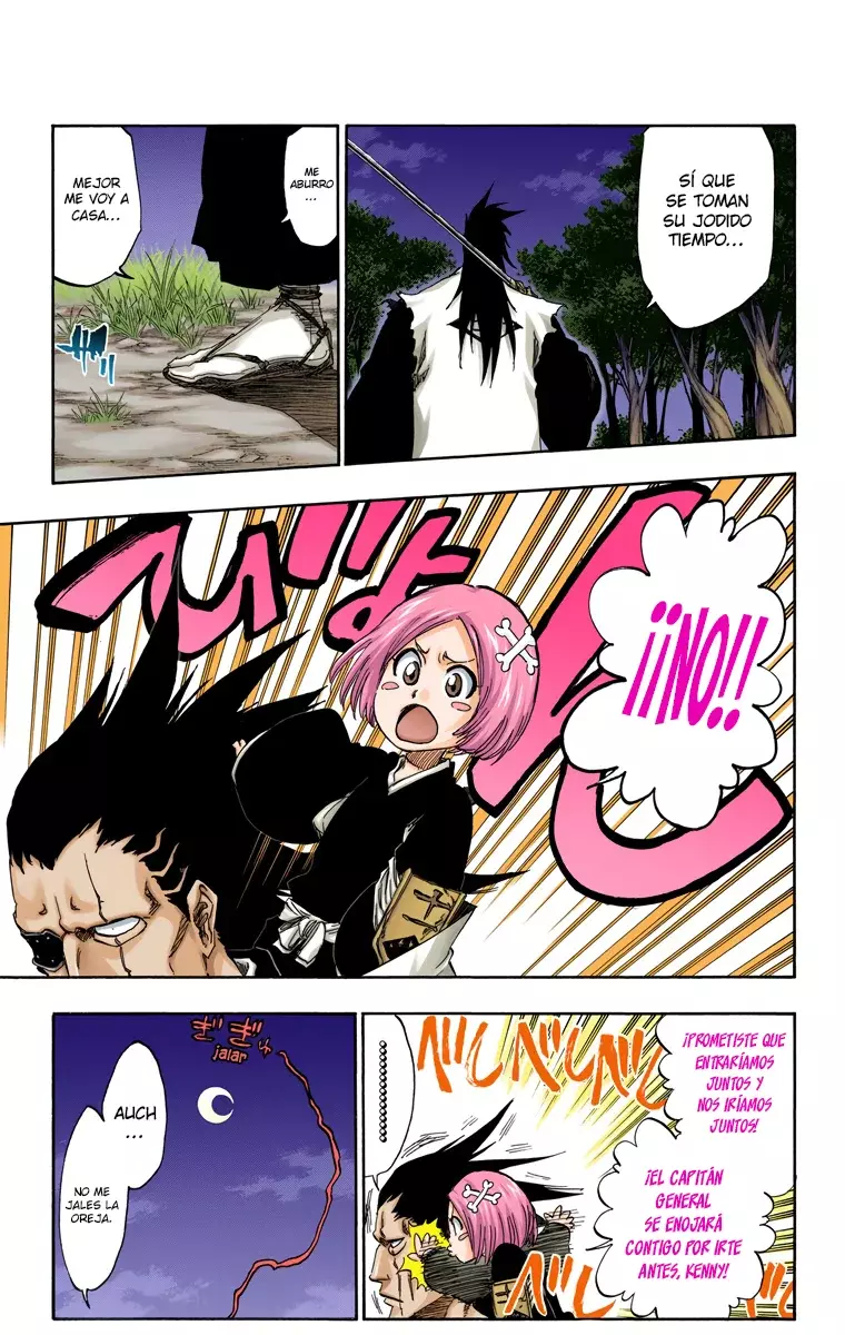 Read Bleach Full Color ES Manga Online