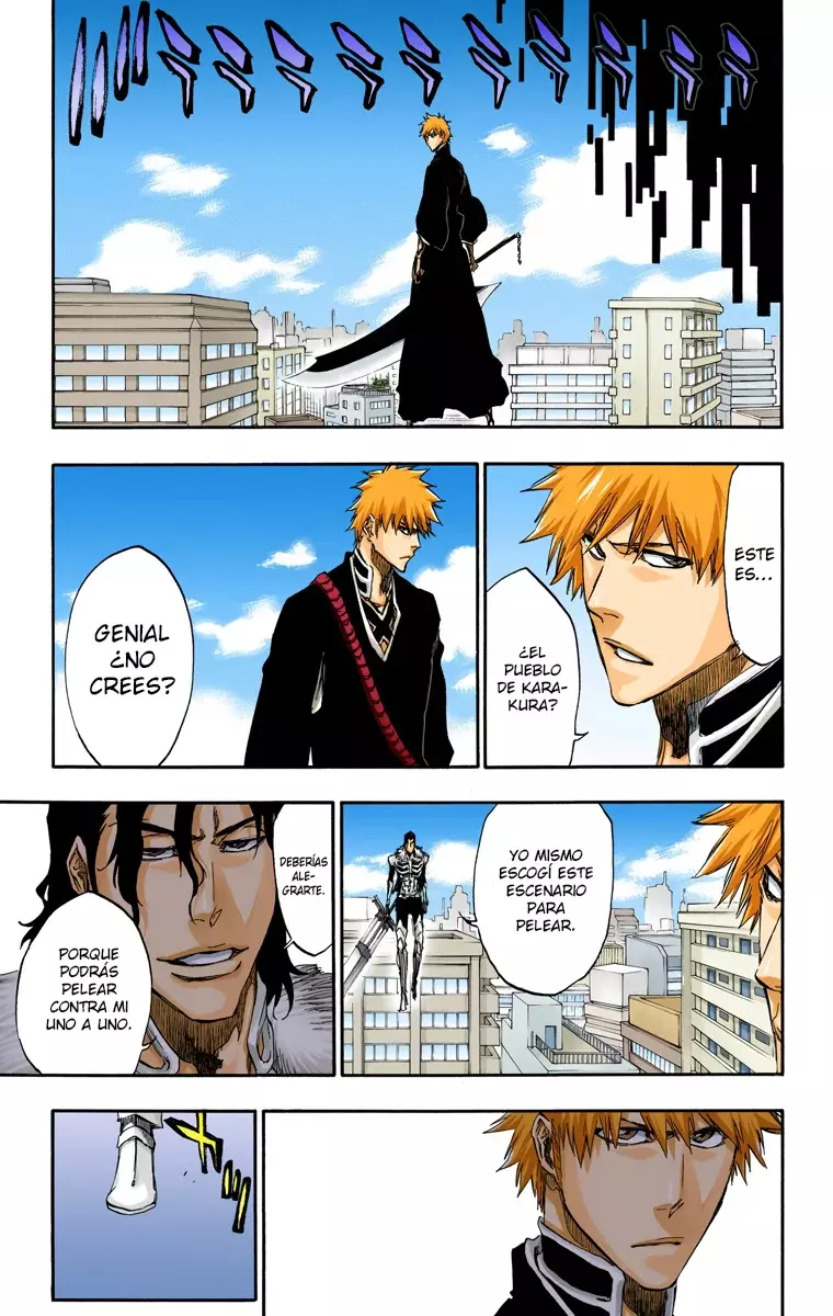 Read Bleach Full Color ES Manga Online