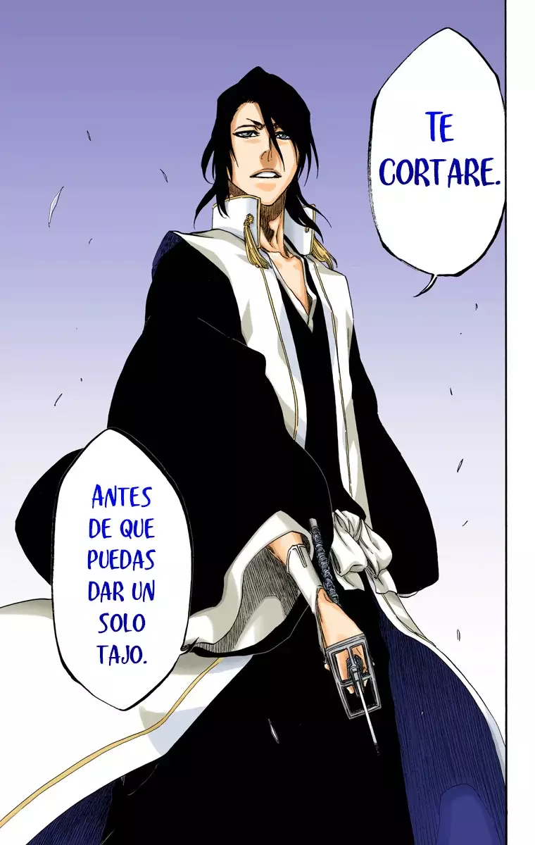 Read Bleach Full Color ES Manga Online
