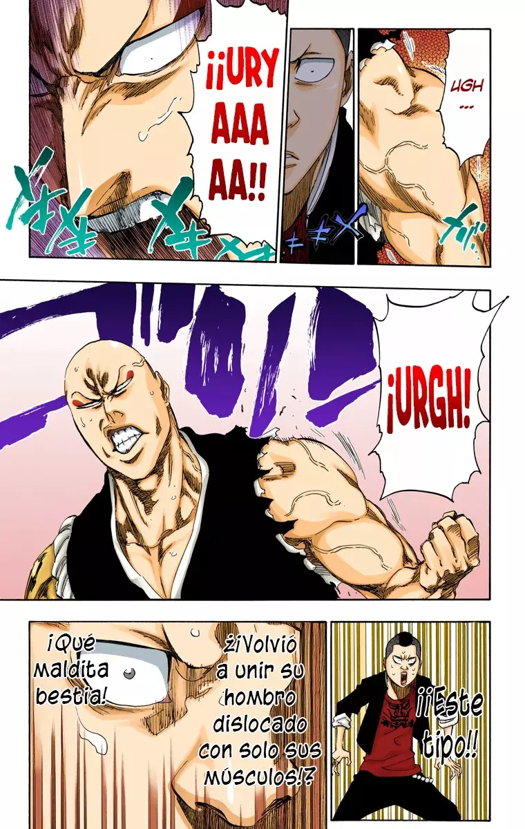 Read Bleach Full Color ES Manga Online