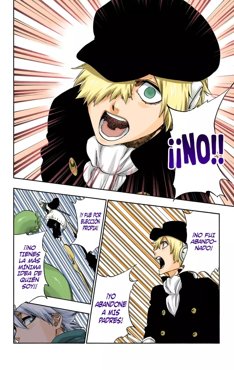 Read Bleach Full Color ES Manga Online