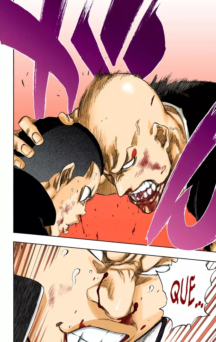 Read Bleach Full Color ES Manga Online