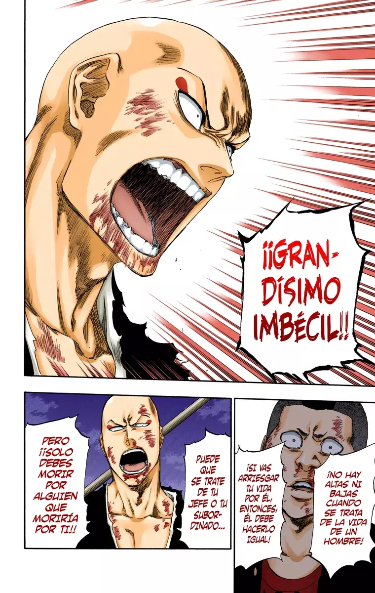 Read Bleach Full Color ES Manga Online