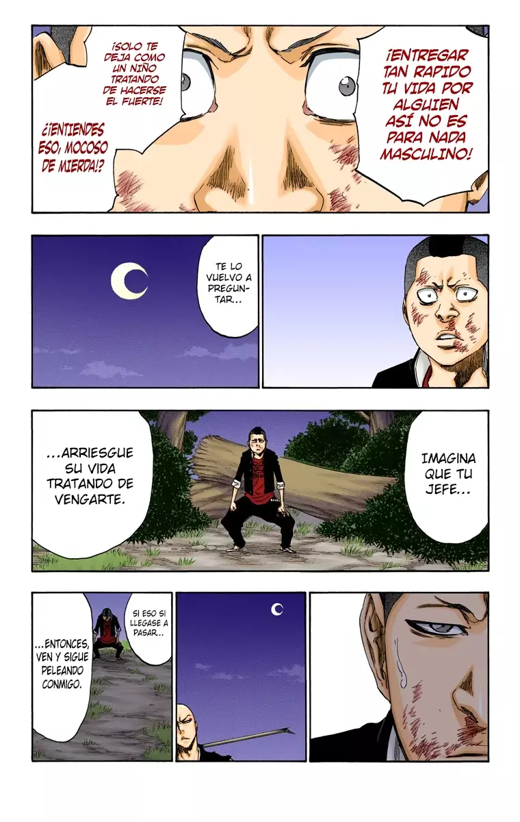 Read Bleach Full Color ES Manga Online