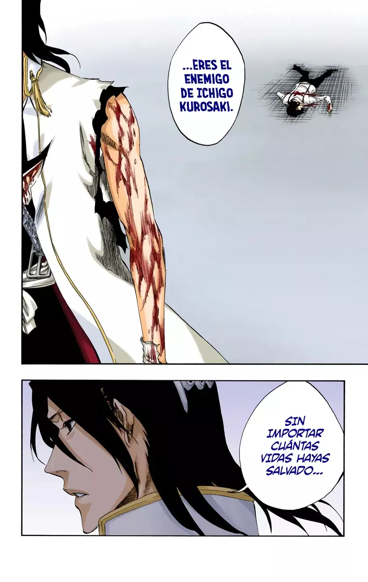 Read Bleach Full Color ES Manga Online