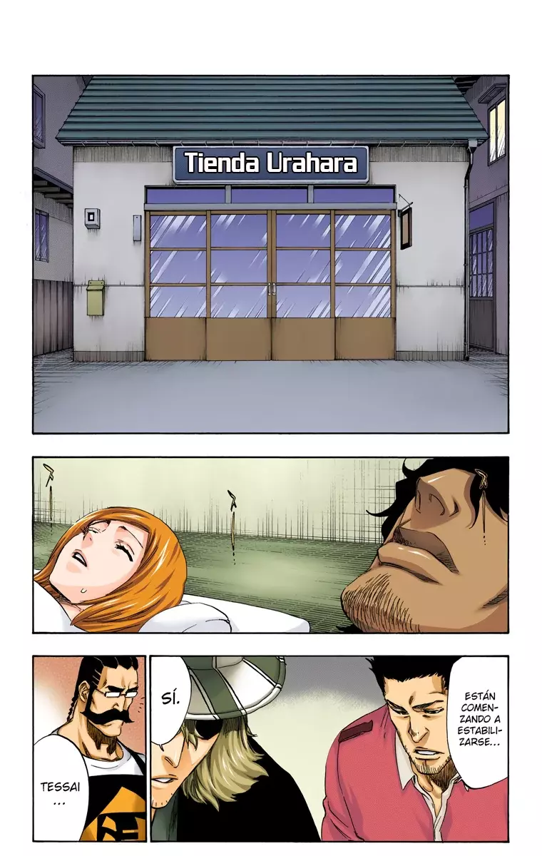 Read Bleach Full Color ES Manga Online