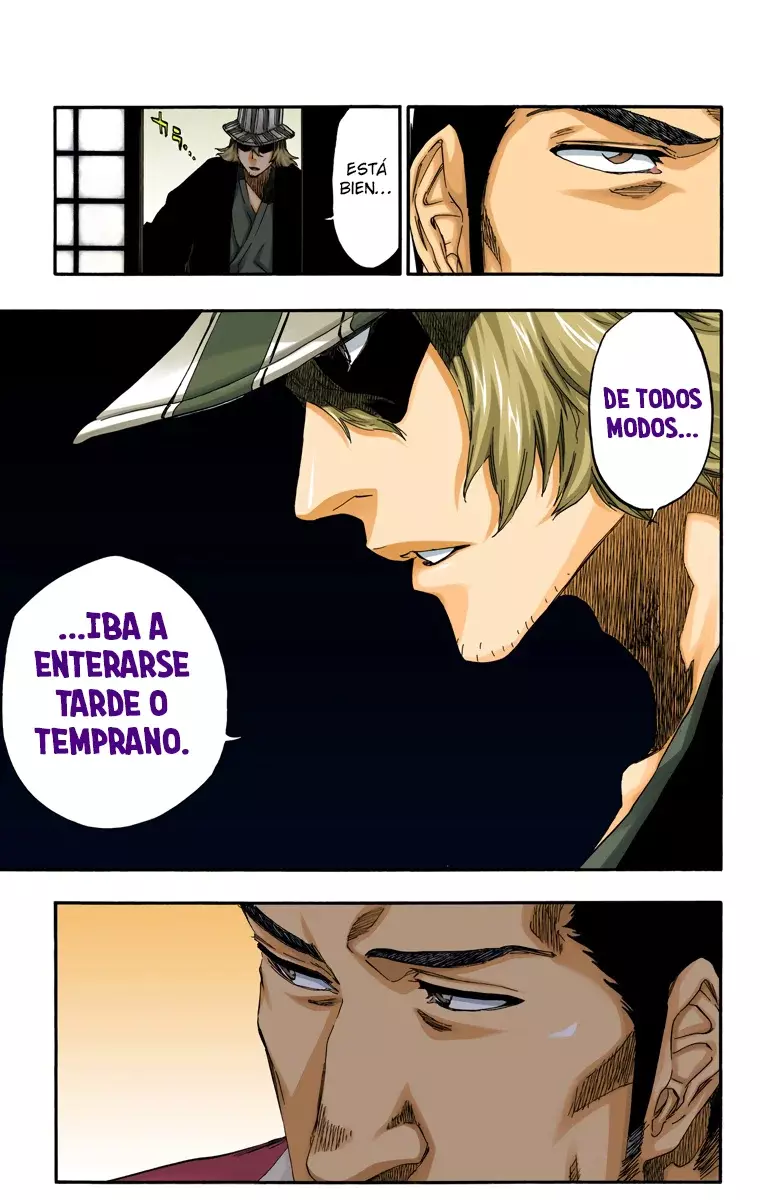Read Bleach Full Color ES Manga Online