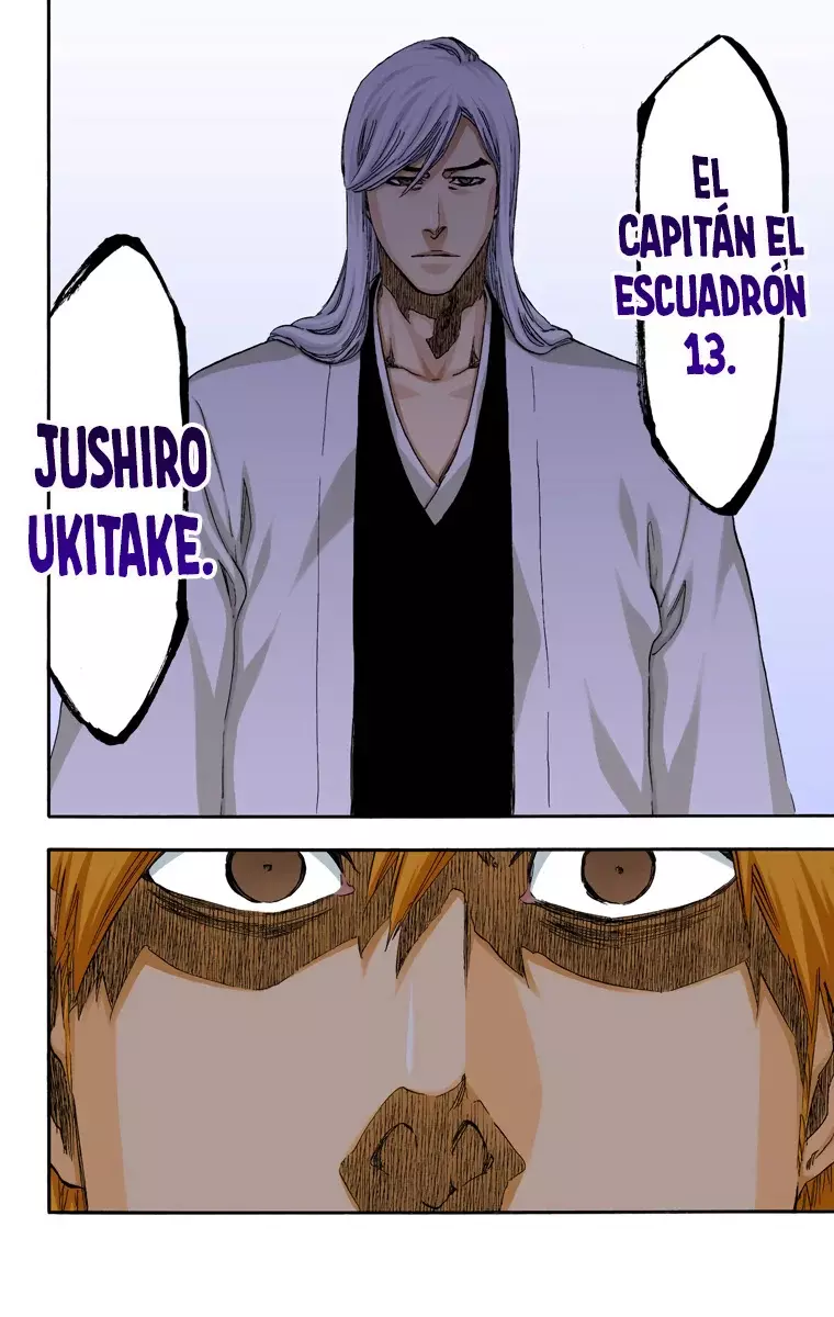 Read Bleach Full Color ES Manga Online